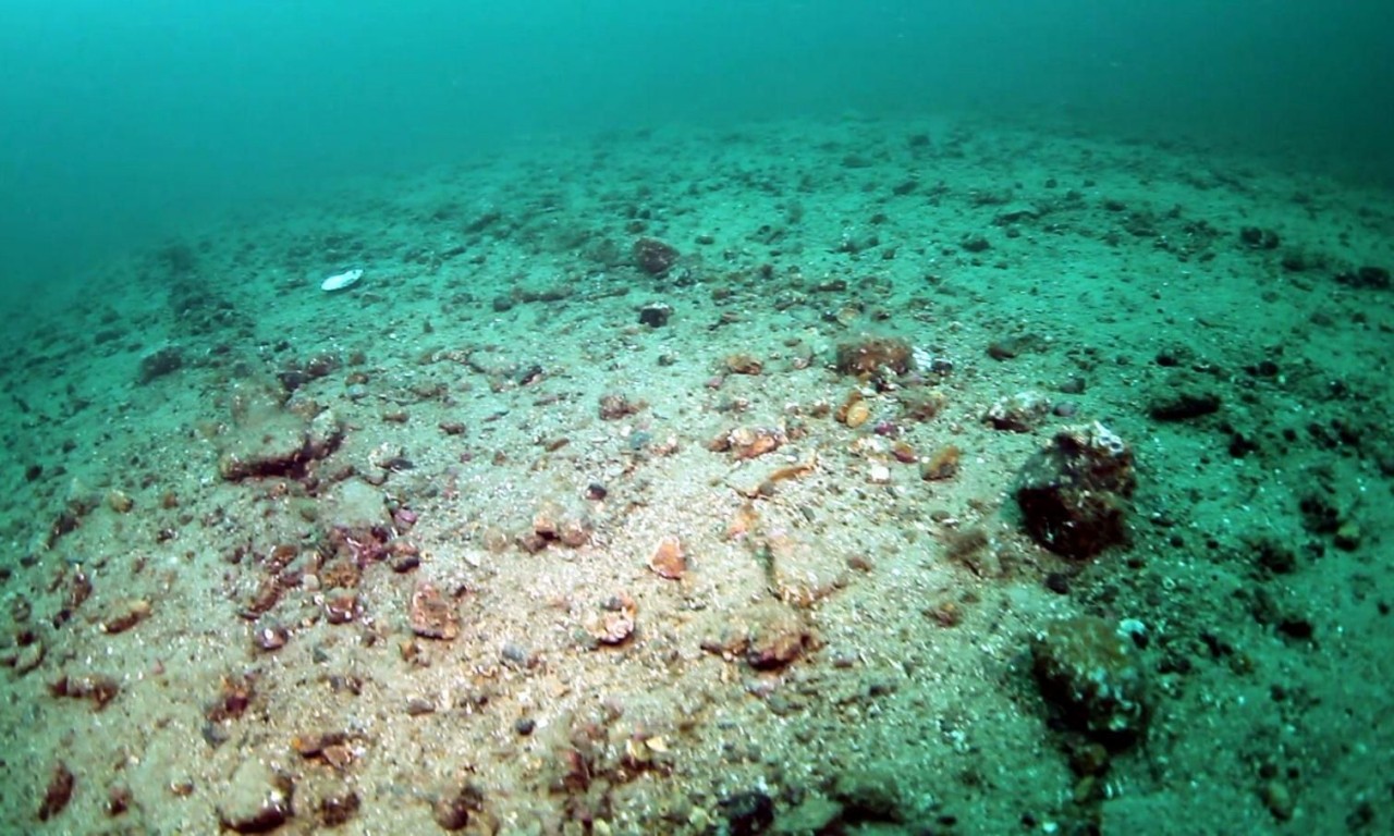 Bottom trawling releases as much carbon as air travel, landmark study finds