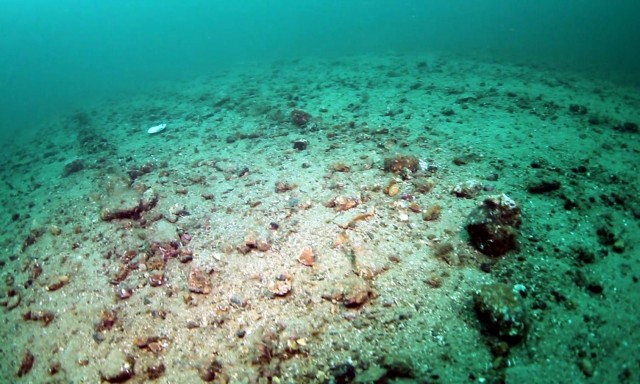 Bottom trawling releases as much carbon as air travel, landmark study finds
