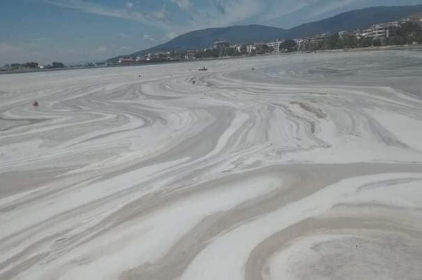 Sea snot continues to expand in Marmara Sea