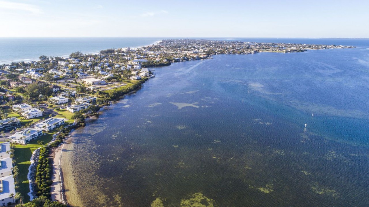 What happens when 400 million gallons of contaminated water go in Tampa Bay