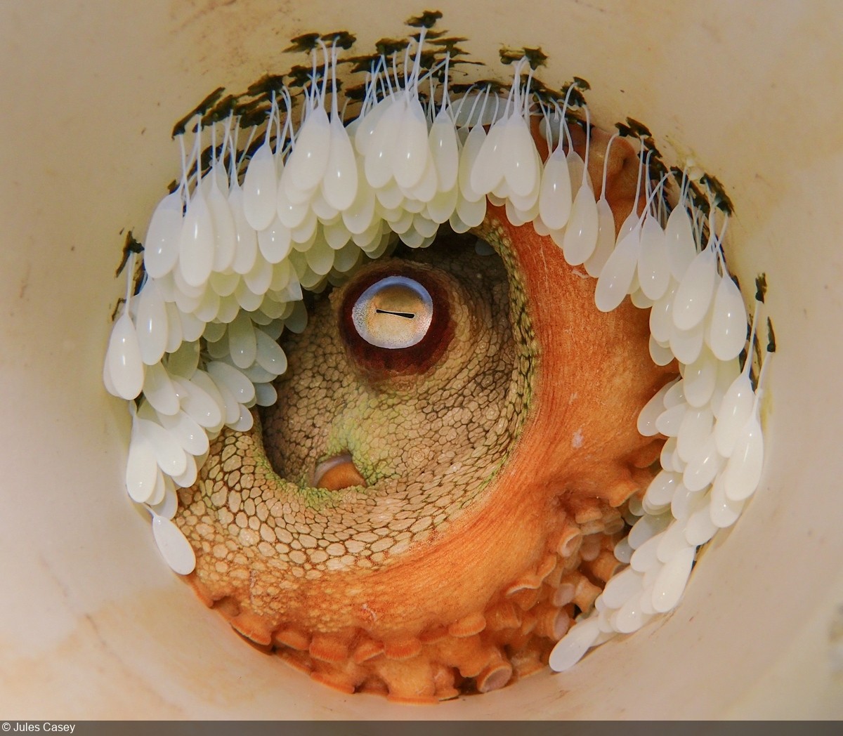 Behind the Shot: The Circle of Life