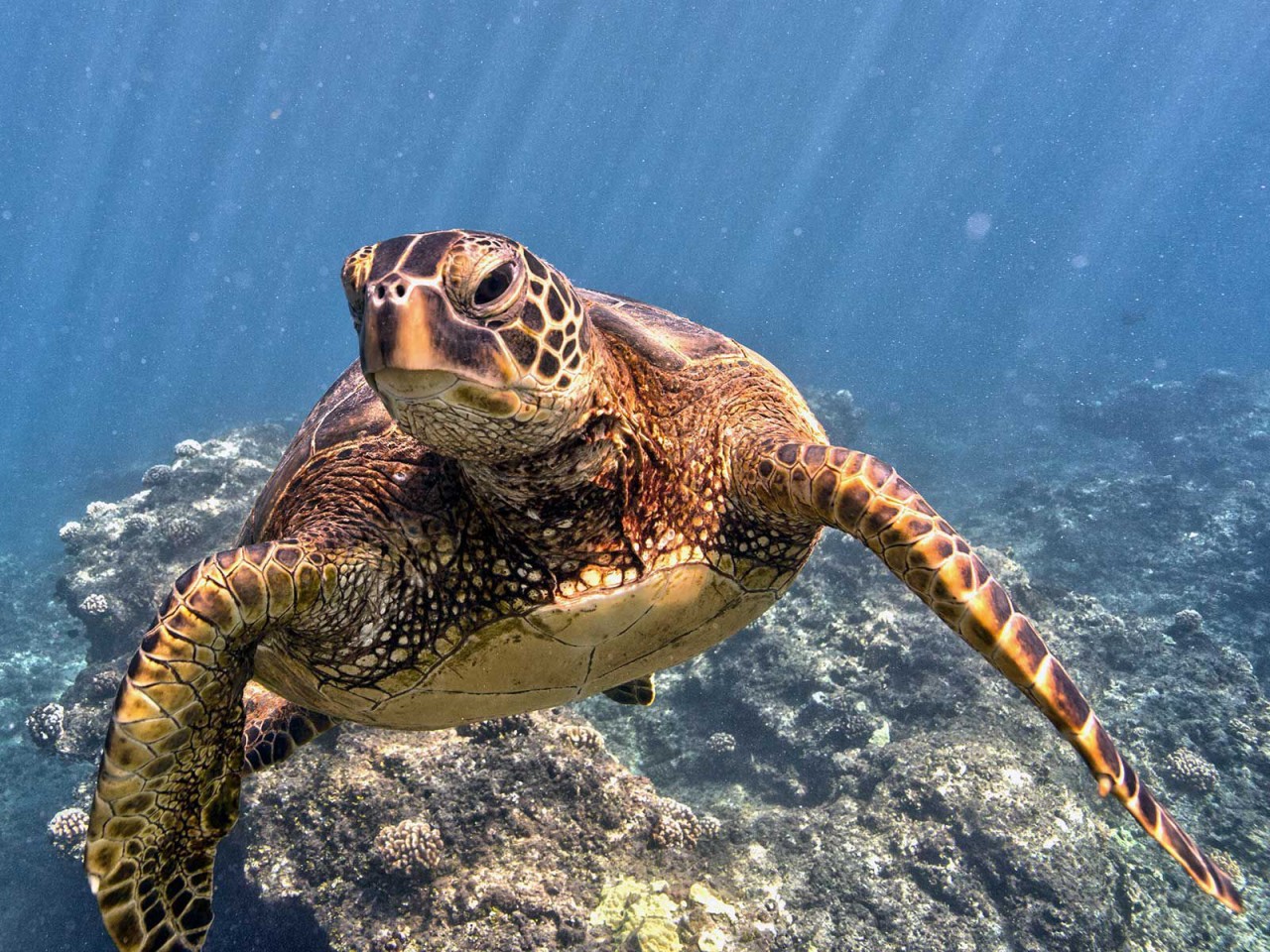 Seven Reasons to Be Optimistic About the World's Oceans