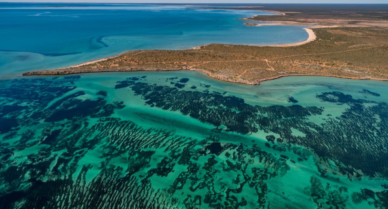 World's Largest Plant In Australia: 3x Larger Than Manhattan