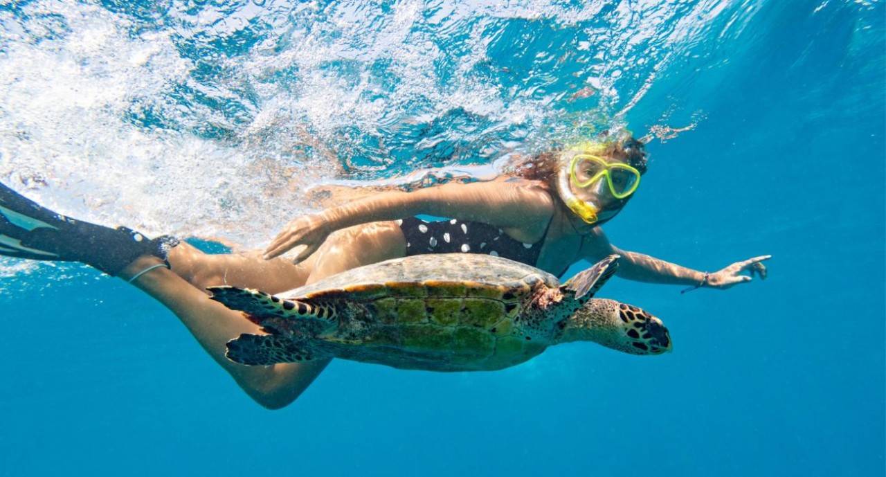 Sun-Soaked Getaway: How To Go Island Hopping In The Maldives