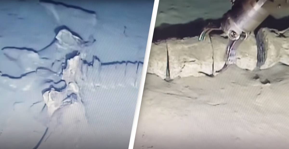Diver Finds Remains Of Colossal Sea Monster That Match No Known Creature