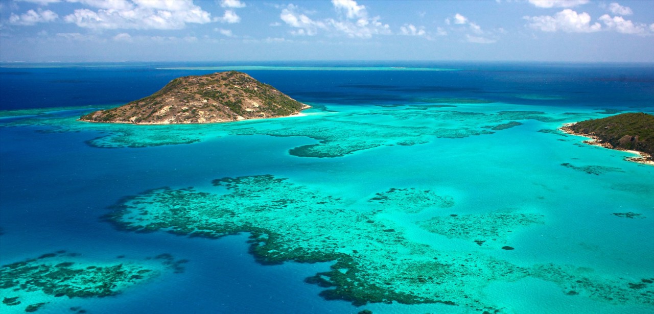 Using the Sound of the Sea to Help Rebuild Ocean Habitats