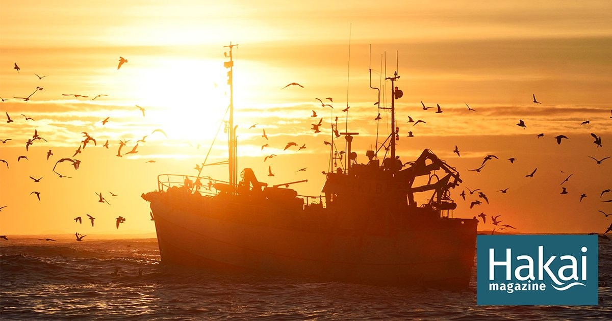 How Marine Protected Areas Can Pay for Their Own Protection