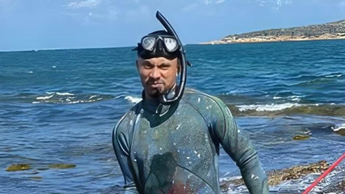 Community's powerful gesture for iconic groper fish Gus - as new details emerge about the moments...