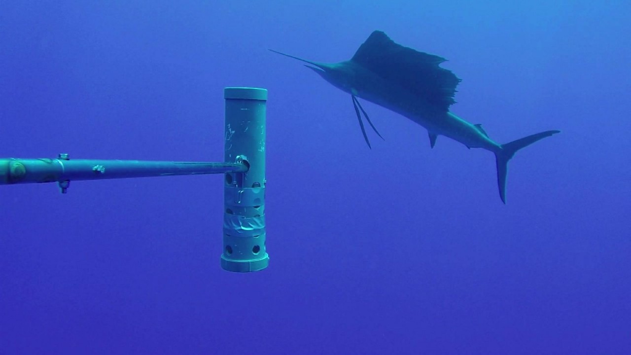 ‘Time is of the essence’ to save our oceans