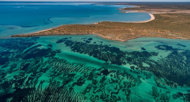 World's Largest Plant In Australia: 3x Larger Than Manhattan