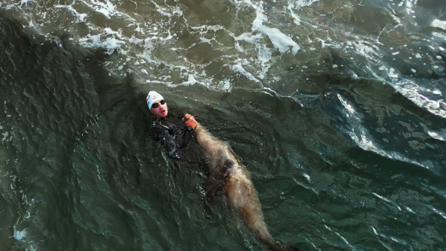 Video Footage: Super League Triathlon Star Bitten By Seal On Eve Of Malibu Race