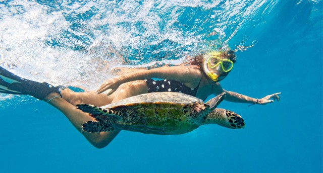 Sun-Soaked Getaway: How To Go Island Hopping In The Maldives