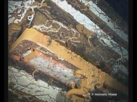 MV UMBRIA PORT SUDAN - African Parks Foundation - Sudan Expedition By OCEANROAMERS