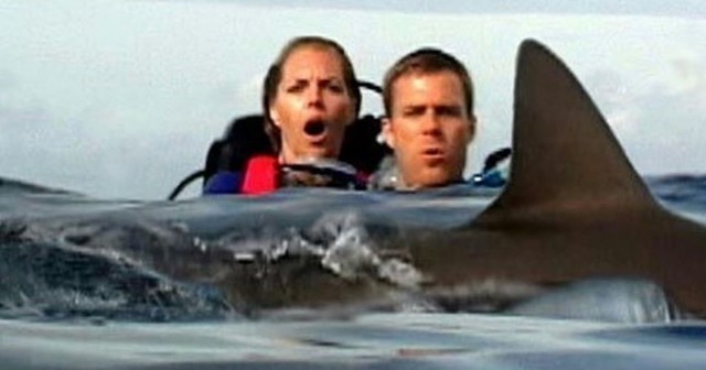 Mystery of couple left behind in shark-infested waters still missing 23 years on