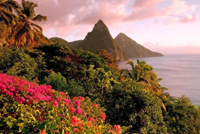 Top Things To Do In Saint Lucia