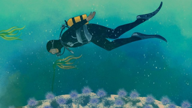 These urchin slayers are trying to save California’s underwater 'rainforest'