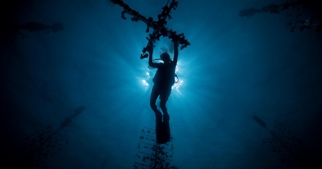 The Mission to Save Florida’s Reefs