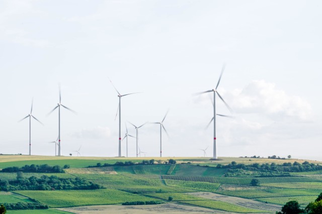 Explainer: What is the green bond market and why is it growing so fast?