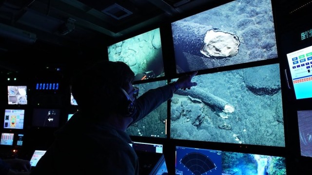 Mammoth Tusk Found at the Bottom of Pacific Ocean Stuns Scientists