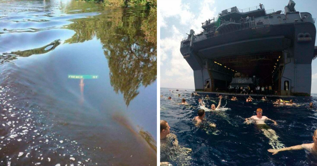 These Posts Are All About The Fear Of Deep Water, And Here Are 142 Of The Scariest Ones That Might Make You Want To Swim Away