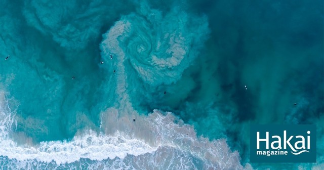Warning! Signs Are Not Enough to Save Beachgoers from Deadly Currents
