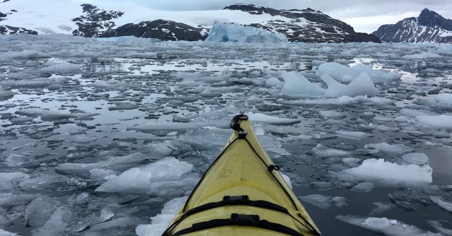 A Beginners Guide To Kayaking: From Learning To Paddle To Buying A Kayak