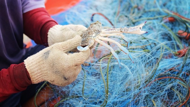 CEO Note: U.S. Demand for Seafood Continues to Drive Illegal Fishing Around the World