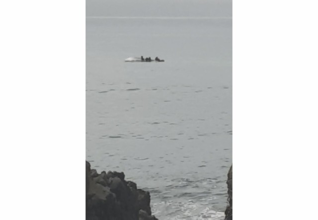 5 dead after New Zealand boat flips in possible whale strike