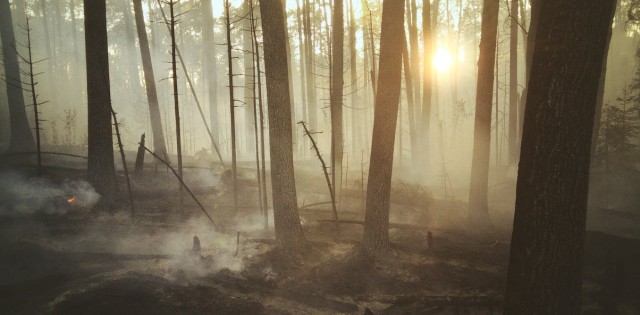 A technologically advanced society is choosing to destroy itself. It's both fascinating and horrifying to watch