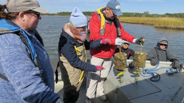 Rutgers University develops oyster reef ecosystem to prevent beach erosion