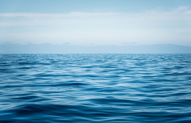 Mysterious whiting events in the ocean have scientists baffled