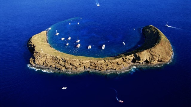 This popular snorkeling spot on Maui has been 'overused' from tourists, scientists warn