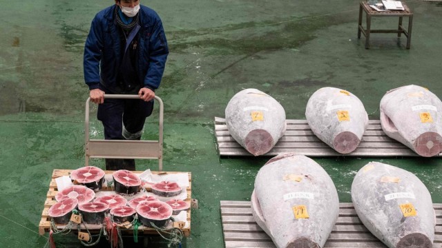 Supermarkets ‘selling tuna which could have been caught using harmful fishing method,’ campaigners claim