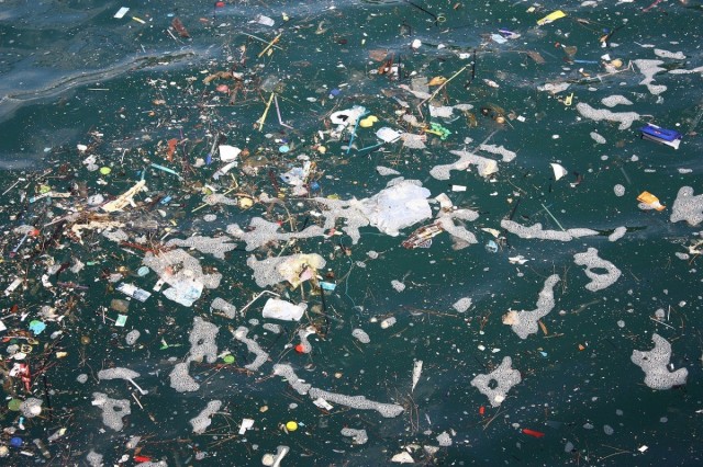 Teacher Quits Job After Getting Disease from Surfing in Sewage Polluted Water