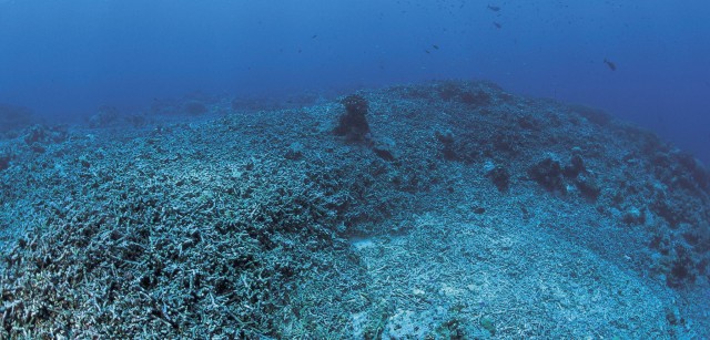 In Tanzania, the Fight against Blast Fishing Is Ramping Up