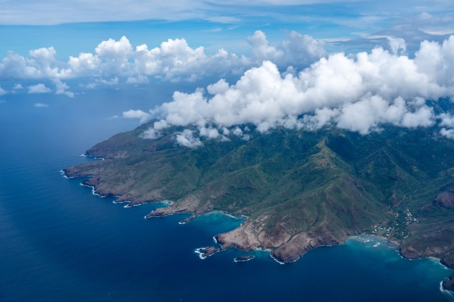 Cannibals, Hash Pipes, and Surfing with Swarms of Jellyfish
