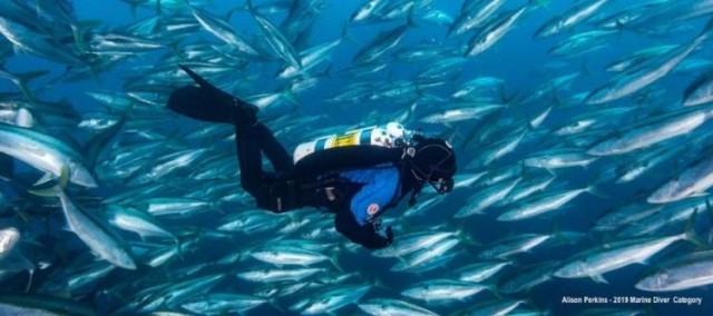 OZDive Show Tickets Now Open!