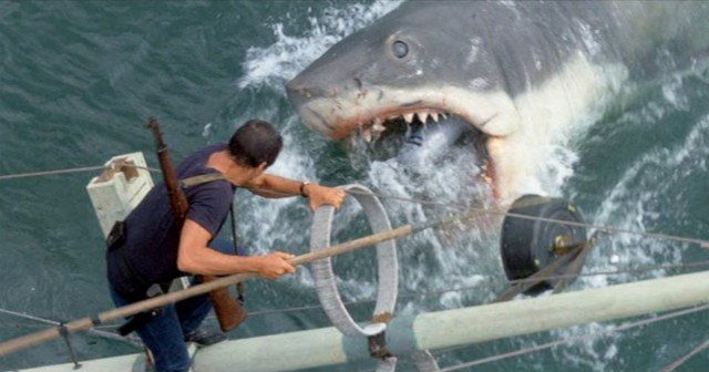 Every Film in the Jaws Franchise, Ranked